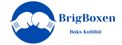 BrigBoxen logo